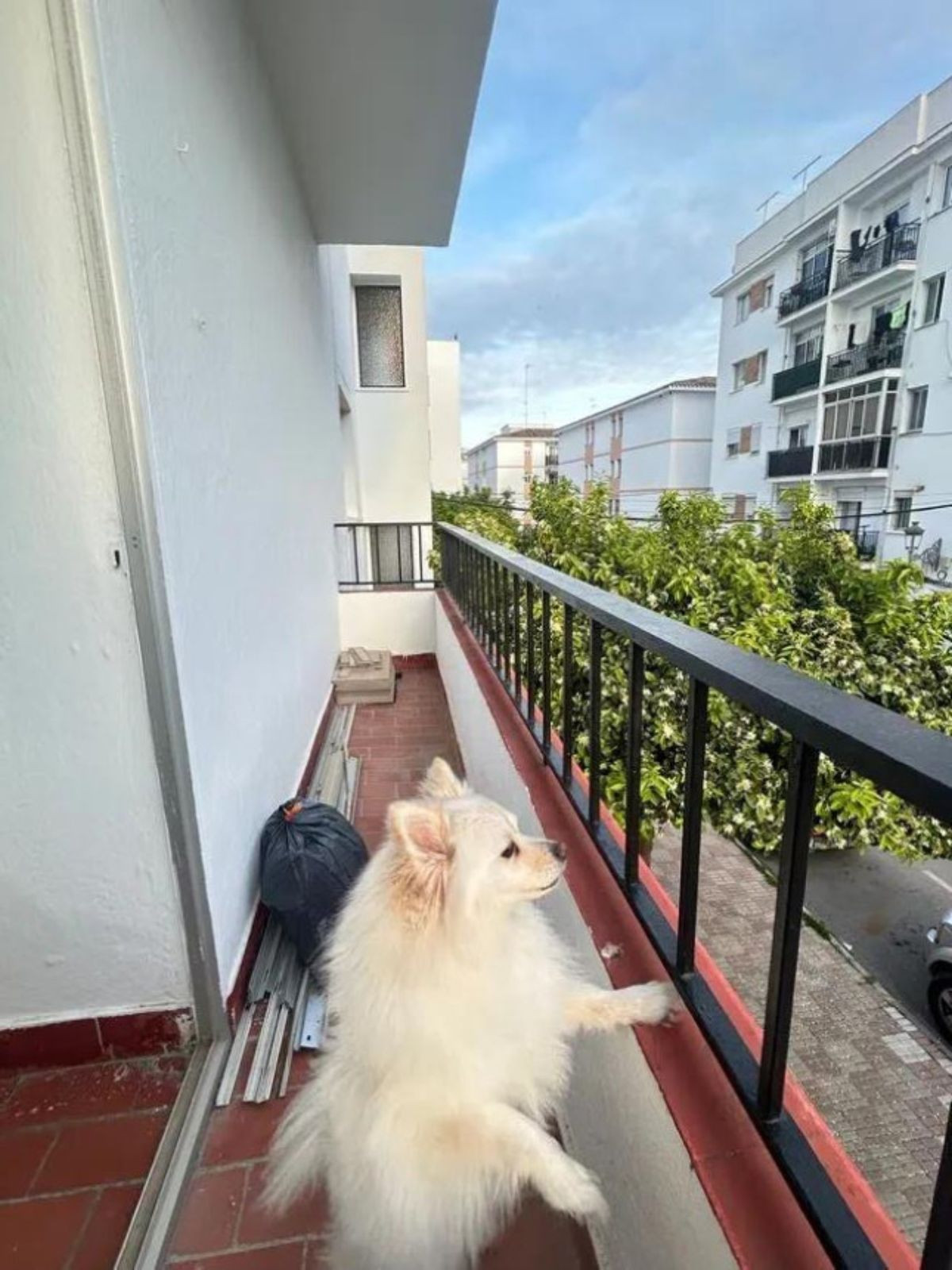 3 Bedroom Apartment for Sale in Estepona — 9