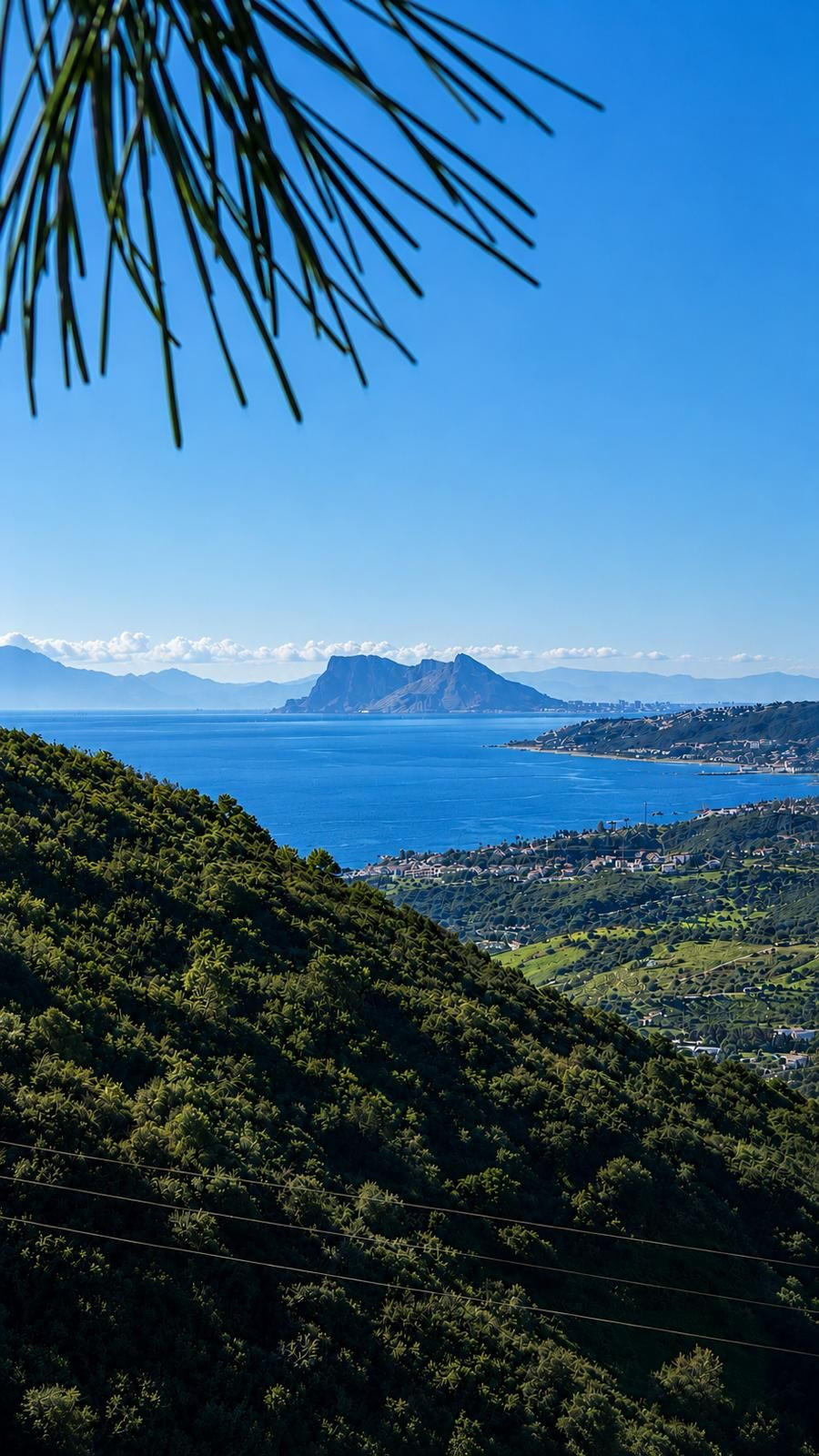 Plot for Sale in Estepona