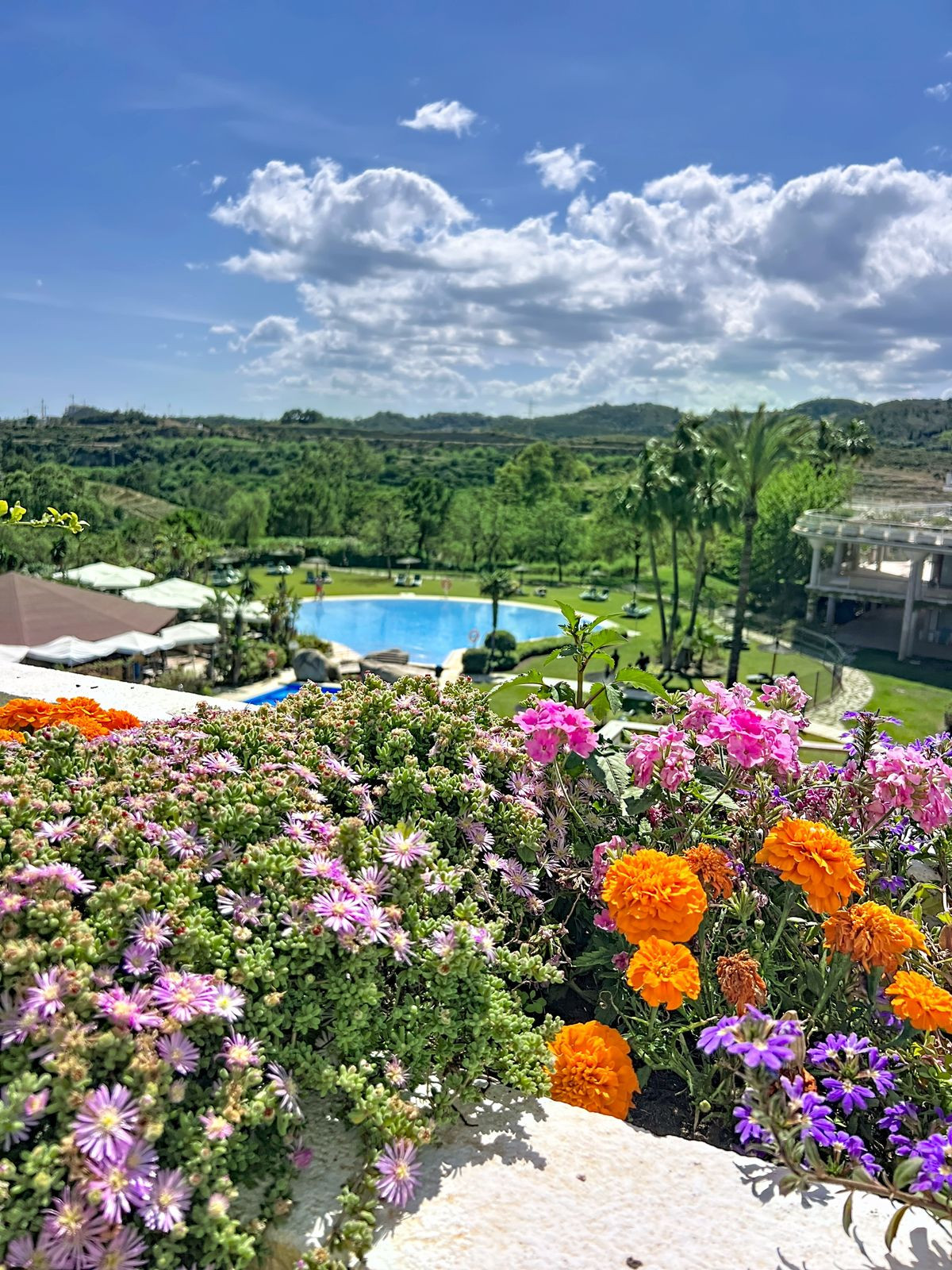 2 Bedroom Apartment for Sale in Selwo — 2