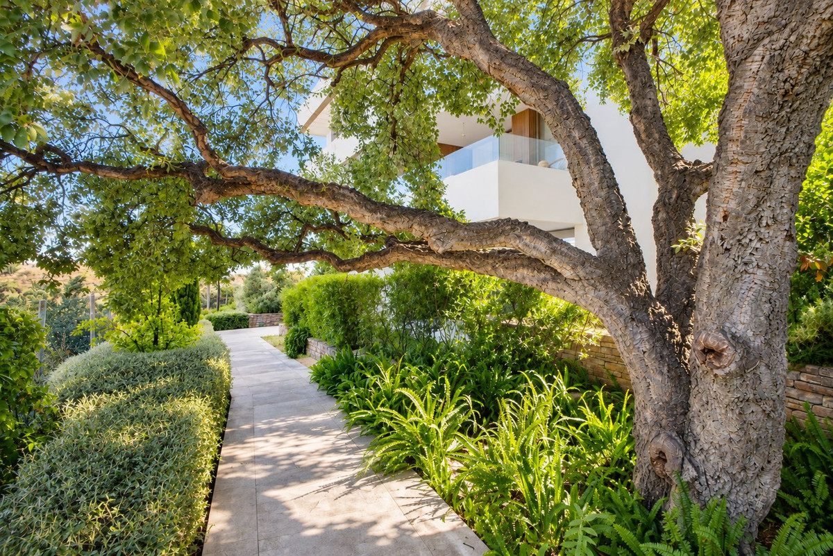 3 Bedroom Apartment for Sale in Los Arqueros — view 13