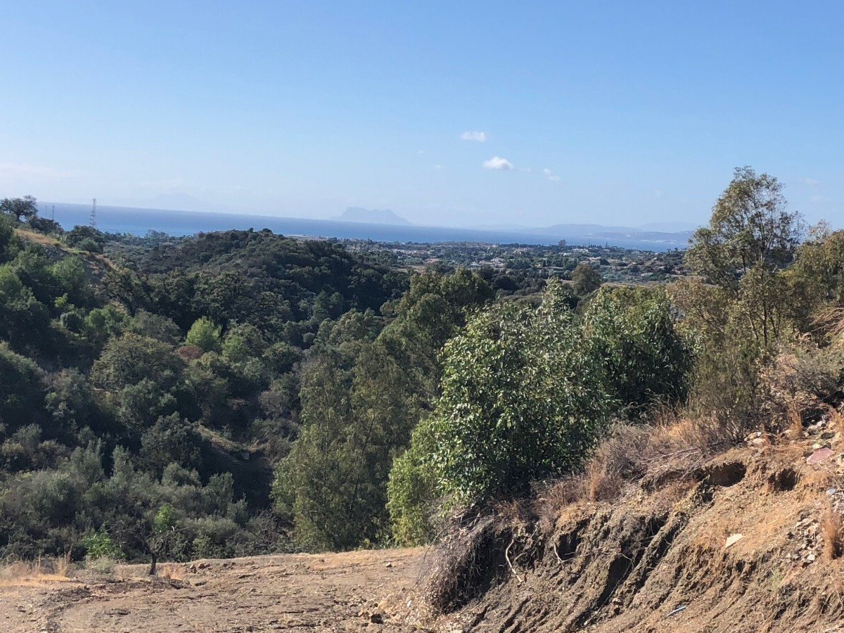 Plot for Sale in Selwo — 4