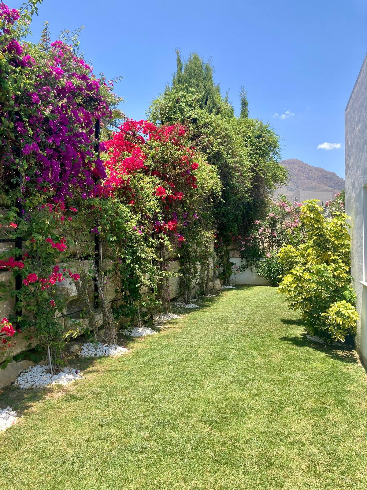 3 Bedroom Villa for Sale in Valle Romano — 6