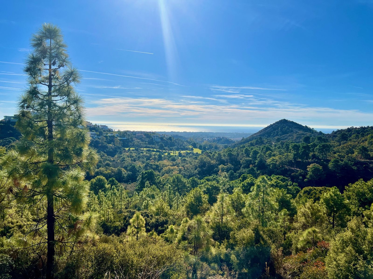 Plot for Sale in Benahavís