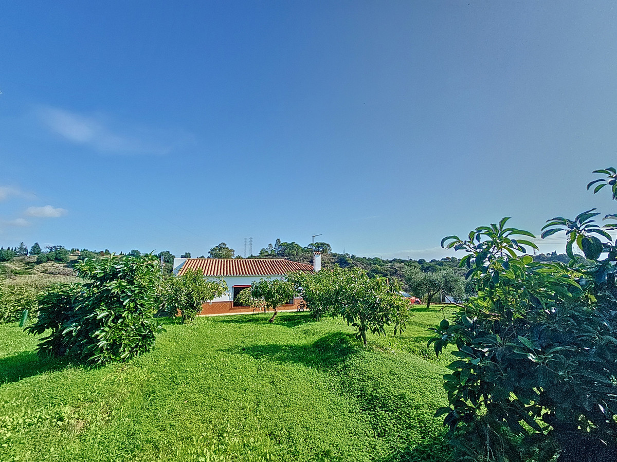 3 Bedroom Villa for Sale in El Padron — 2
