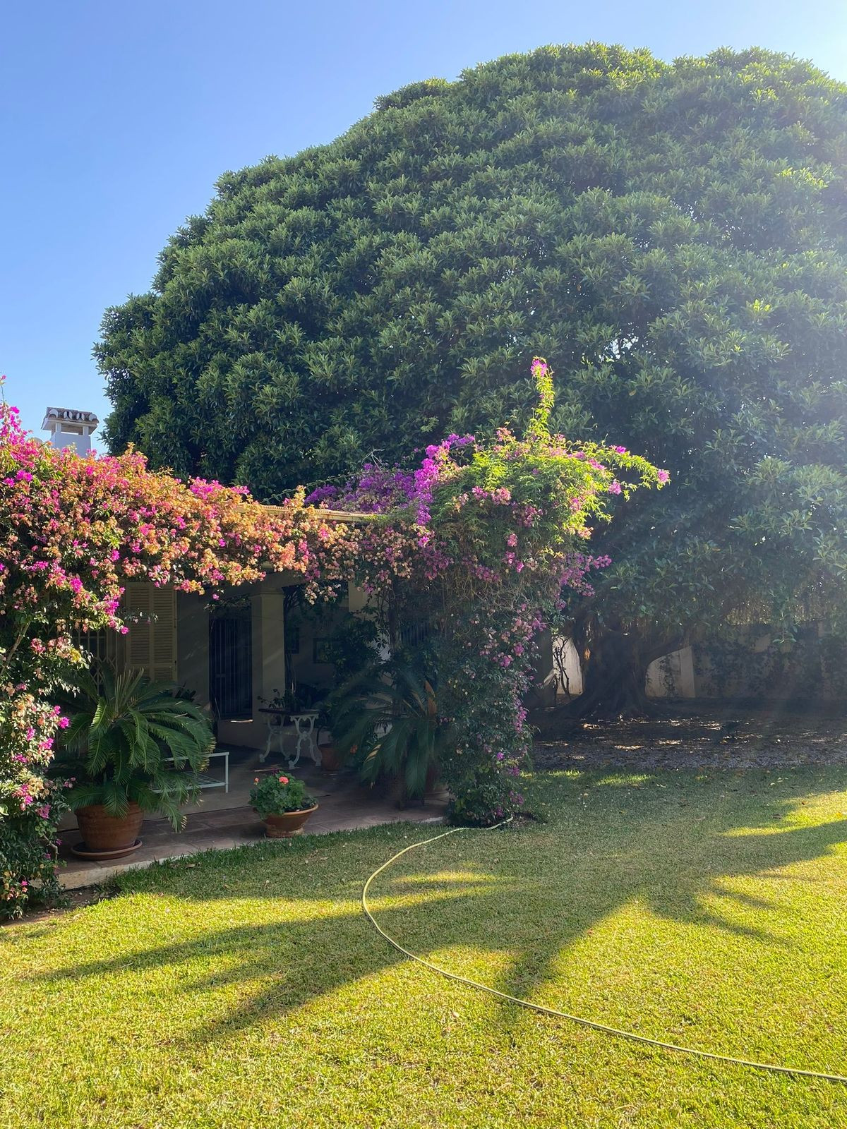 4 Bedroom Villa for Sale in Guadalmina Baja — 8